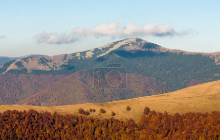 Autumn in Krasna range region of Carpathians Mountains, view of the Strymba mountain, Ukraine