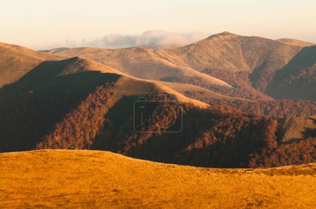 Automne dans la Réserve de biosphère des Carpates, vue sur la forêt naturelle protégée de hêtres, montagnes des Carpates, Ukraine