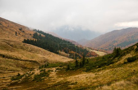 Autumn in Krasna range region of Carpathians Mountains, Ukraine