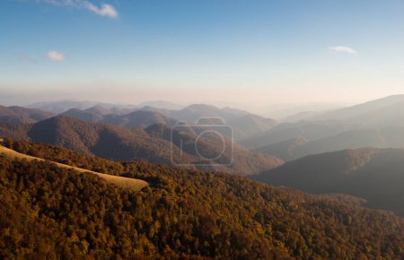 Autumn in Carpathian Biosphere Reserve, view on protected natural beech forest, Carpathians Mountains, Ukraine