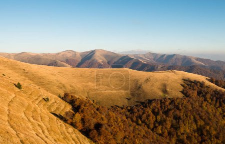 Automne dans la Réserve de biosphère des Carpates, vue sur la forêt naturelle protégée de hêtres, montagnes des Carpates, Ukraine