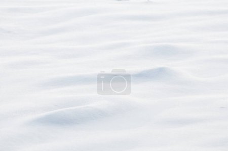 Snow surface in Yavoriv National Nature Park, Ukraine
