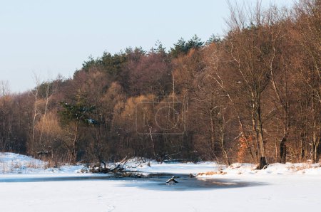 Yavoriv National Nature Park landscape in a winter morning, Ukraine