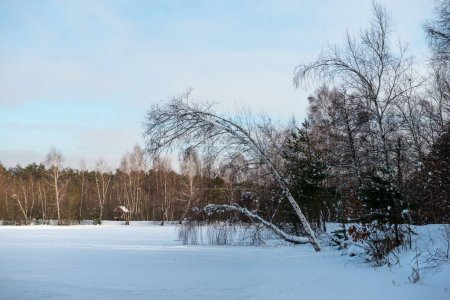 Yavoriv National Nature Park Landschaft an einem Wintermorgen, Ukraine
