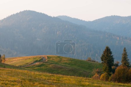 Photo for Autumn in Beskid region of Carpathian Mountains near Slavsko town, Ukraine - Royalty Free Image
