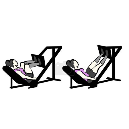 Curvy Fit Girl haciendo Barbell Leg Press Machine, Glutes and Legs Gimnasio Entrenamiento, Lipedema y linfedema Línea de Entrenamiento Ilustración de Arte 