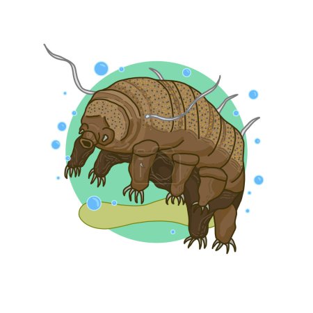 Dibujado a mano colorida línea arte micro animal Tardigrade carácter, aislado Moss Piglet dibujo de dibujos animados, Zoología divertido lindo oso de agua Ilustración 