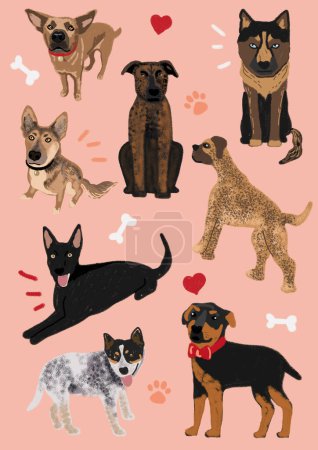 Lindo conjunto de diferentes razas Perros, patas, corazones, huesos, perros aislados divertidos dibujados a mano, ilustración de la colección de cachorros estilo niño simple