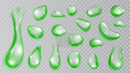 Ilustración de Conjunto de gotas de agua translúcidas realistas en colores verdes en varias formas y tamaños, aisladas sobre fondo transparente. Transparencia solo en formato vectorial - Imagen libre de derechos