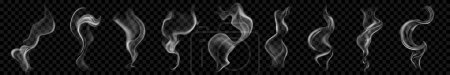 Illustration for Set of several realistic transparent gray smokes or steam. For use on dark background. Transparency only in vector format - Royalty Free Image