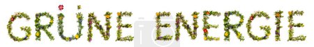 Foto de Blooming Flower Letters Building German Text Gruene Energie Means Green Energy. Summer And Spring Season Blossoms And Flower Lei. - Imagen libre de derechos
