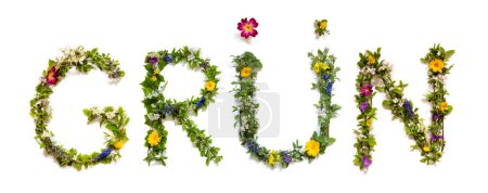 Foto de Blooming Flower Letters Building German Word Gruen Means Green. Summer And Spring Season Blossoms And Flower Lei. - Imagen libre de derechos