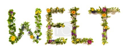 Téléchargez les photos : Blooming Flower Letters Building German Word Welt Means World. Summer And Spring Season Blossoms And Flower Lei. - en image libre de droit