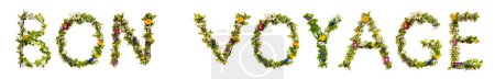 Foto de Florecientes letras de flores Construcción de la palabra francesa Bon Voyage significa tener un buen viaje. Coloridas flores de primavera y verano. Fondo aislado blanco. - Imagen libre de derechos