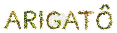 Téléchargez les photos : Fleurs colorées Construire le mot japonais Arigato, signifie merci en anglais, quelques fleurs vertes et de printemps sur fond blanc isolé, Signification symbolique, Citation - en image libre de droit