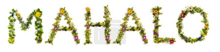 Foto de Flores coloridas que construyen el texto hawaiano Mahalo, significa gracias en inglés, algunas flores verdes y algunas flores de primavera sobre fondo blanco aislado, significado simbólico, cita - Imagen libre de derechos
