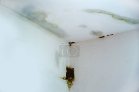 Foto de Daño causado por fugas de agua en una pared y techo - Imagen libre de derechos