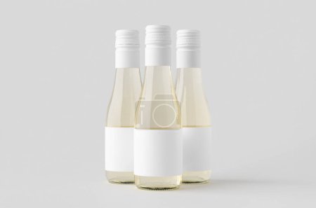 Téléchargez les photos : Petite maquette de bouteille de vin blanc. Bourgogne, alsace, forme de rhône. - en image libre de droit