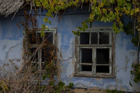 Téléchargez les photos : Old crumbling house with two windows without glass, reed roof - en image libre de droit