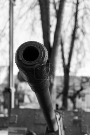 Téléchargez les photos : Barrel and muzzle of a military metal cannon - en image libre de droit