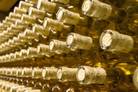Téléchargez les photos : Bouteilles de vin blanc disposées pour la maturation dans une cave à vin - en image libre de droit