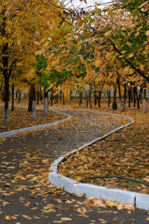 Téléchargez les photos : Un sentier, sans personne, contournant un virage dans un parc d'automne parsemé de feuilles jaunes d'automne - en image libre de droit