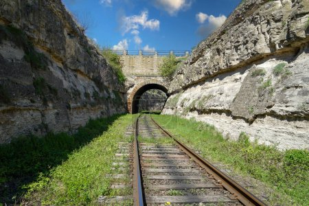 Téléchargez les photos : Vue des rails traversant un ancien tunnel ferroviaire en pierre entre les rochers. - en image libre de droit