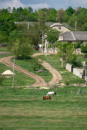 Téléchargez les photos : Chevaux sombres et blancs sur fond de paysage rural d'une pente verdoyante sur laquelle se trouvent les maisons - en image libre de droit