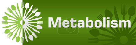 Photo for Metabolism text written over green background. - Royalty Free Image