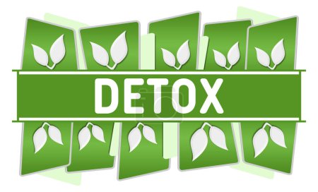 Detox concept image with text and leaves symbols.