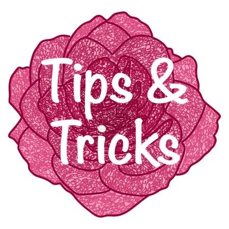 Tipps und Tricks Text über rosa magenta blume Hintergrund geschrieben.