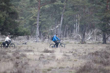 Téléchargez les photos : Parc national de Hoge Veluwe- 18 avril 2023 : vélo dans l'aire de repos, Pays-Bas - en image libre de droit