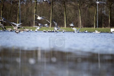 Foto de Wijster, Países Bajos - 7 de febrero de 2024: Wijster business park, Netherland - Imagen libre de derechos