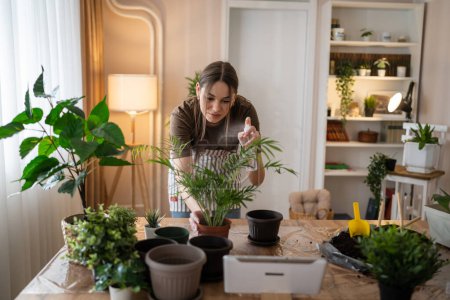 Téléchargez les photos : Une jeune femme caucasienne jardinière ou fleuriste prendre soin et cultiver des plantes de fleurs domestiques à la maison jardinage concept copier l'espace - en image libre de droit