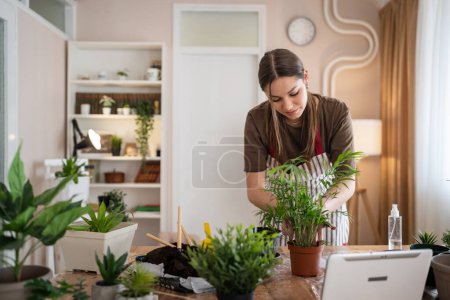 Foto de Una joven mujer caucásica jardinero femenino o florista cuidar y cultivar las plantas de flores domésticas en el hogar jardinería concepto de espacio de copia - Imagen libre de derechos