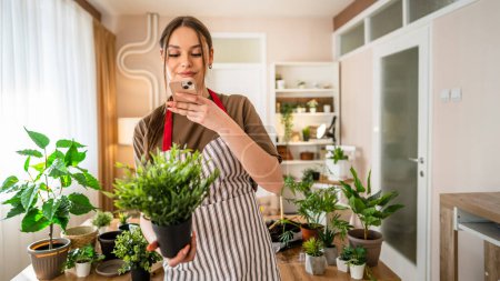 Photo for One woman young generation z adult caucasian female take care of her plants at home photographing flower pot with her smartphone mobile phone send photos to social media or as message real person - Royalty Free Image