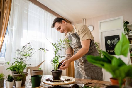 Téléchargez les photos : Un homme adulte jardinier caucasien mâle ou fleuriste prendre soin et cultiver des plantes de fleurs domestiques à la maison espace de copie concept jardinage - en image libre de droit