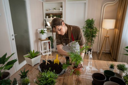 Foto de Una joven mujer caucásica jardinero femenino o florista cuidar y cultivar las plantas de flores domésticas en el hogar jardinería concepto de espacio de copia - Imagen libre de derechos
