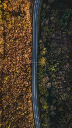 Foto de Vista aérea de arriba hacia abajo imagen del dron en la carretera a través de los árboles y el bosque en la cordillera Tresibaba en el día de otoño en Serbia Viaje y concepto de vacaciones - Imagen libre de derechos
