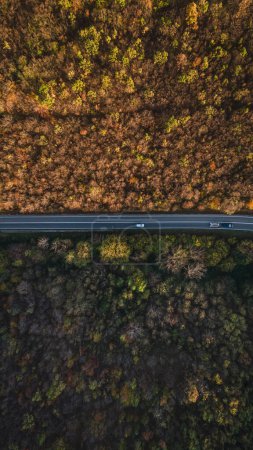 Photo for Car vehicle drive on Tresibaba mountain range nature aerial view in autumn day near Knjazevac Serbia top down - Royalty Free Image