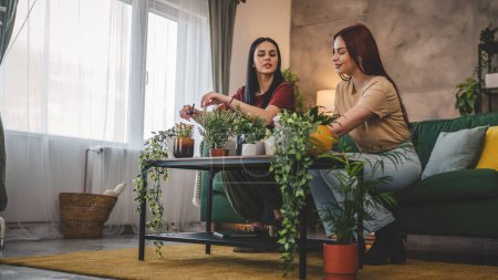 Téléchargez les photos : Deux femmes caucasiennes amis ou sœurs plantent des fleurs ensemble en prenant soin de plantes à la maison personnes réelles concept de famille de la vie familiale - en image libre de droit