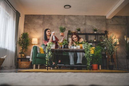 Foto de Dos mujeres caucásicas amigas o hermanas plantan flores juntas cuidando de las plantas caseras personas reales vida doméstica concepto familiar - Imagen libre de derechos