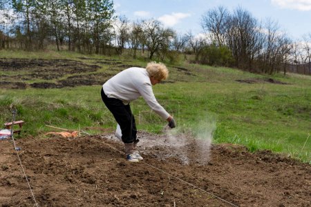 Una agricultora esparce ceniza sobre el campo en los surcos hechos; la ceniza sirve para disuadir plagas y fertilizar el suelo, ilustrando el concepto de agricultura orgánica
