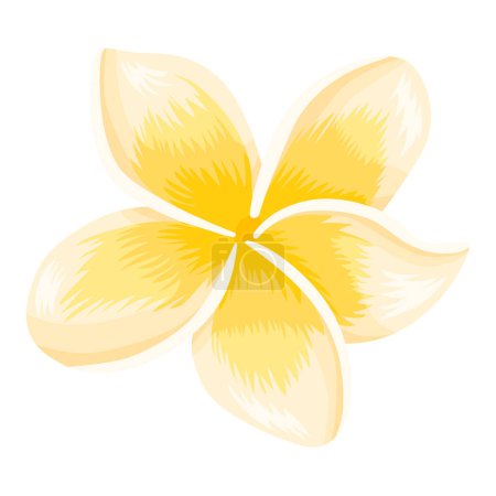 Illustration for Frangipani flower isolated on white background. vector illustration. - Royalty Free Image