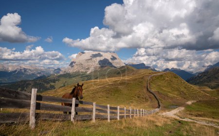 Panoramabild einer Landschaft in Südtirol mit dem berühmten Schlern, Italien, Europa