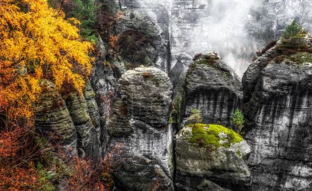 Misty weather in colorful autumn forest and rock formations in Saxon Switzerland National Park in Germany