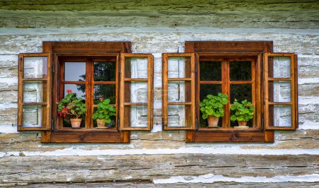 Téléchargez les photos : Flowers in pot and open window on wooden cottage - en image libre de droit