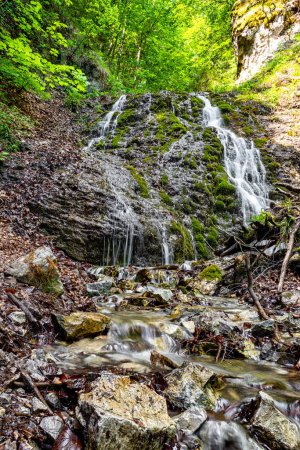 Foto de Jamisny waterfall in green forest. Cutkovska valley, Slovakia - Imagen libre de derechos