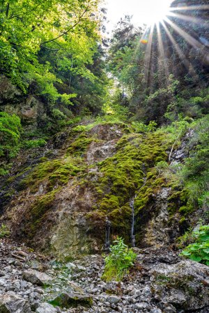 Foto de Sunrays over Jeleni waterfall in in forest. Cutkovska valley, Slovakia - Imagen libre de derechos