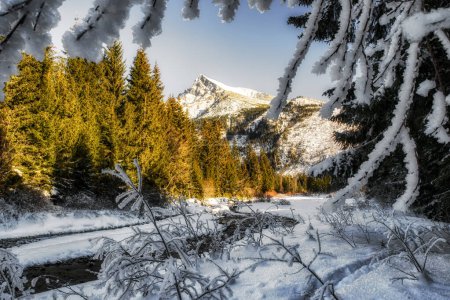 Mountain stream in winter forest country with high hill at bacground. Peak Krivan in Koprova valley in High Tatras mountains at Slovakia.